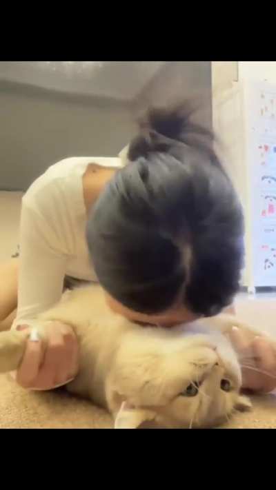 It's So Fluffy - Asians Be Asian