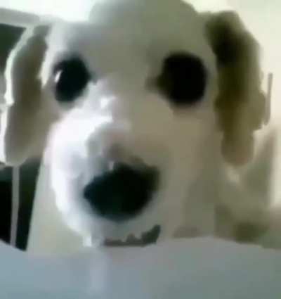 Dale