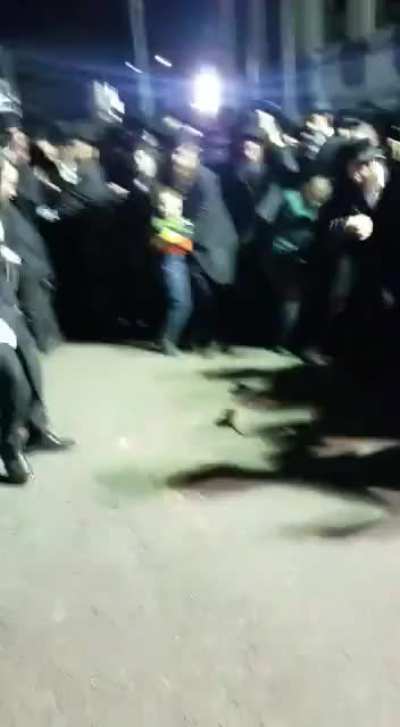 Rat Vs Jews