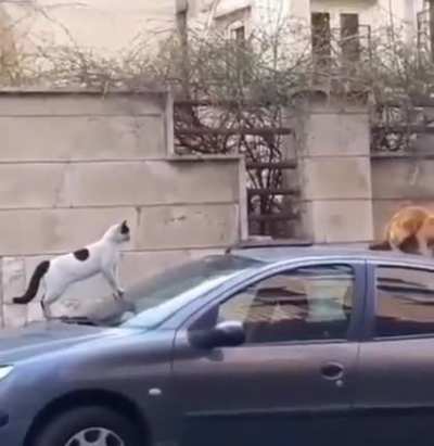 Thought this would fit here as well
