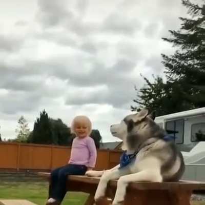 Kid and husky a funny combo