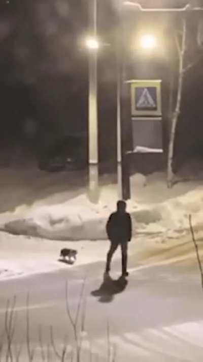 How to get free cats lol