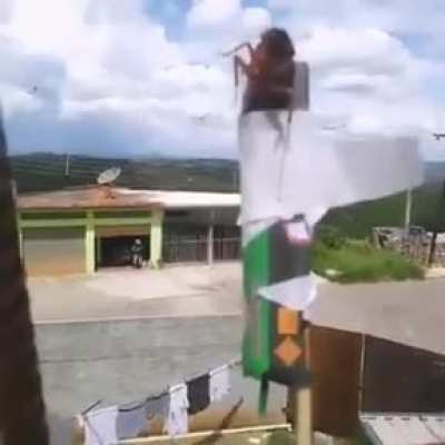 Nunca mais