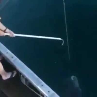Fishing