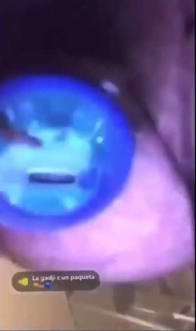 paqueta boy video