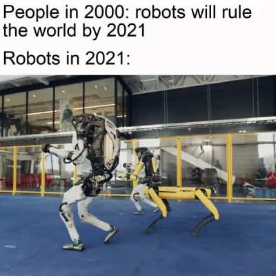 What have we been doing all this time?