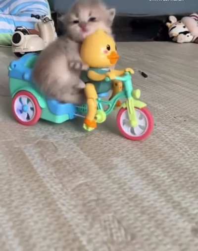 dROwSY cYCliST vIOlenTLY tHRoWN oFF bIKe iN hoRRIFiC aCCiDeNT