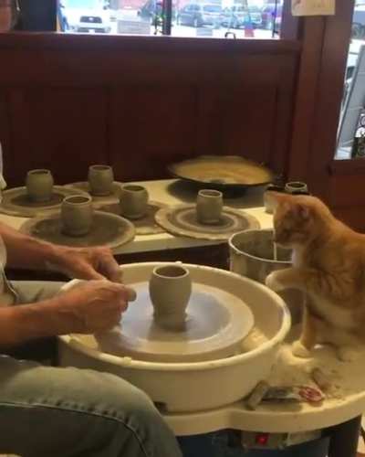 Touch tha clay
