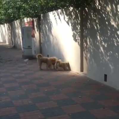 Maybe maybe maybe