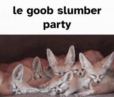 Zzz time