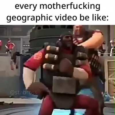 literally