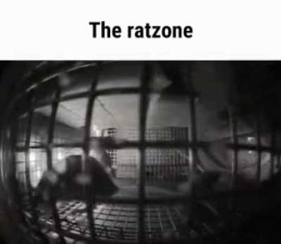 Rtatatatehe