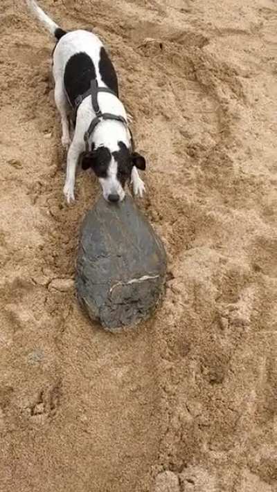 Mysterious tracks in the sand