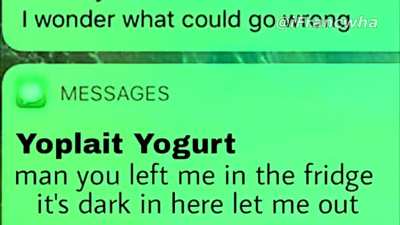 The yogurt 😢