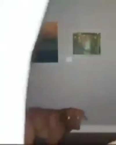grr