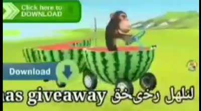monkey
