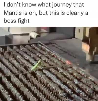 Boss battle