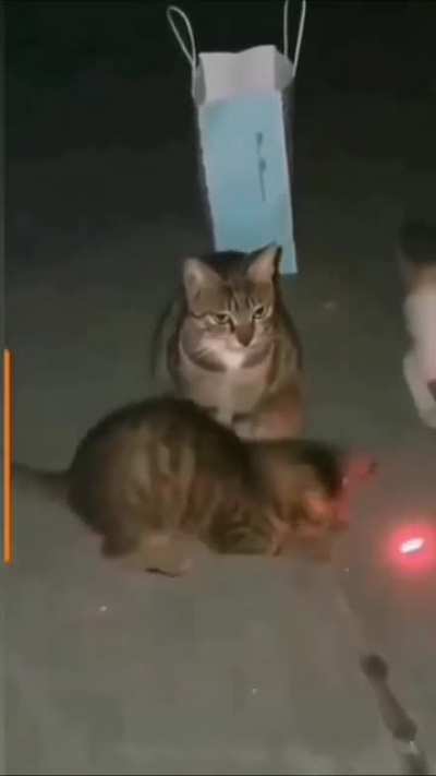 .....