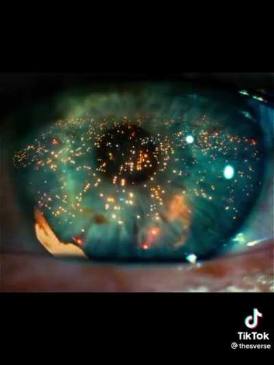 blade runner gibi bi evrende olmak... Hayali bile güzel