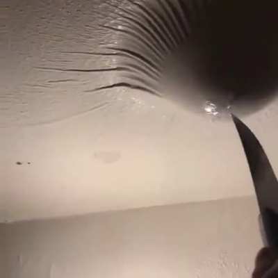 Thanks, I hate ceiling blisters.
