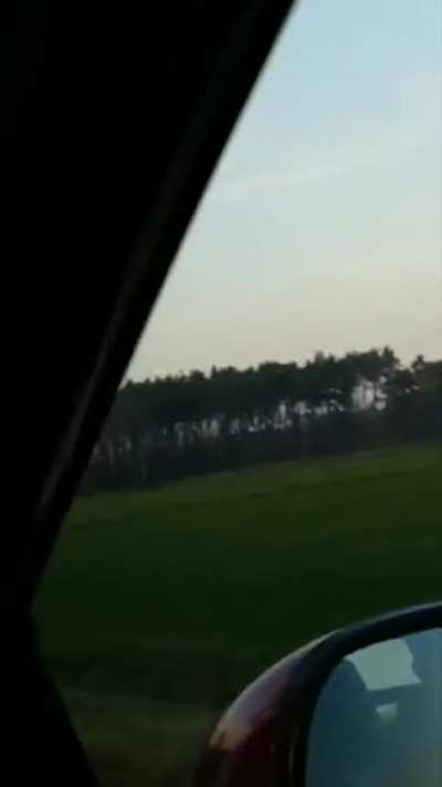 Why did the deer cross the road?