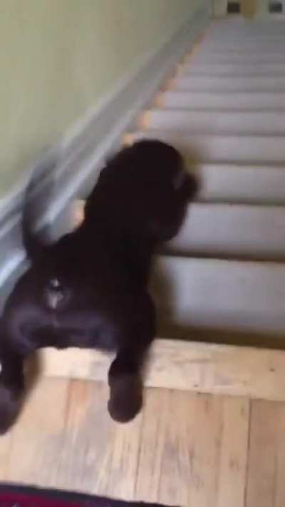 That’s one way to get down the stairs.