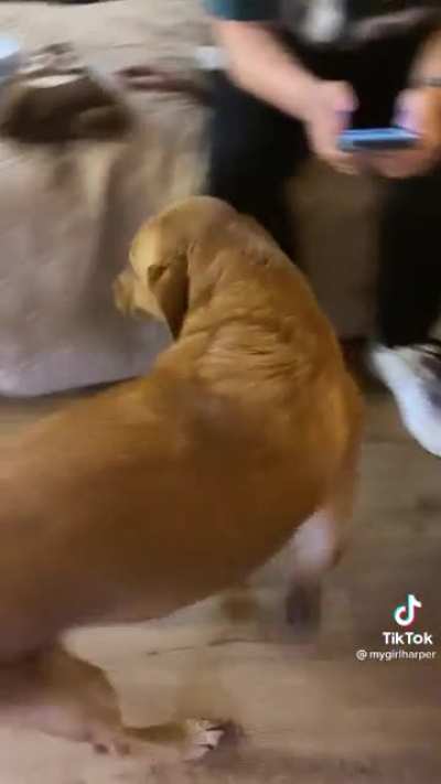 Why do you look so guilty?