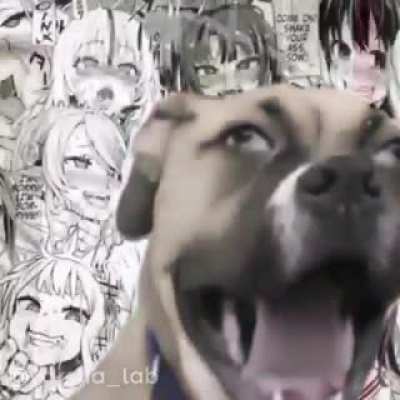 It’s a meme I found on discorda week or two ago and I think it sounds really nice if anyone knows the name and would Tell me