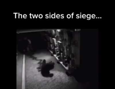 R6