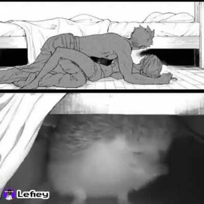 🦔💢