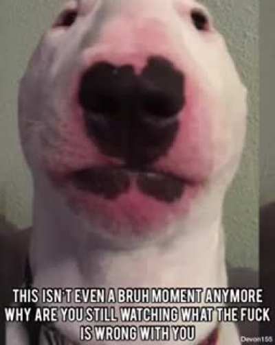shitposting - Video #1713