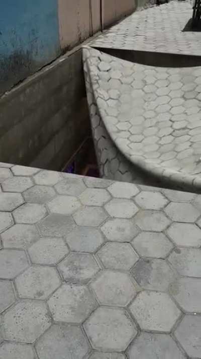 Watch it bounce