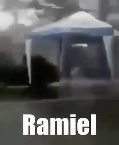 Watch him go!