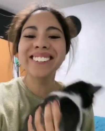 The cat was surprised
