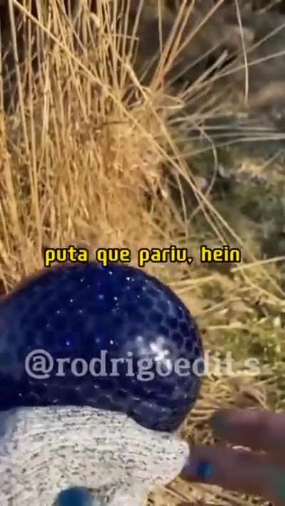 PORR CAROL