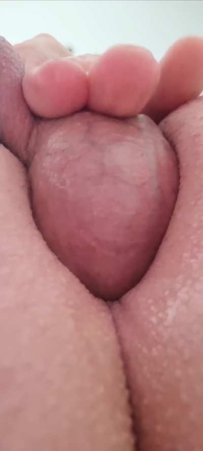 Anal GIF by blues<wbr>wimme<wbr>rcrab<wbr>18