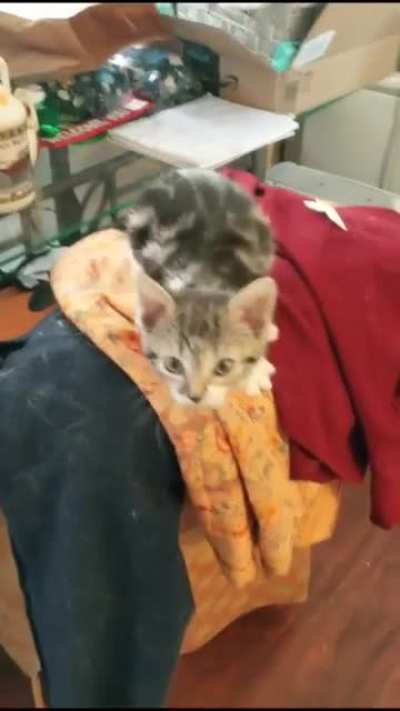 Maybe Maybe Maybe