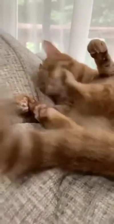 Touch tha toe