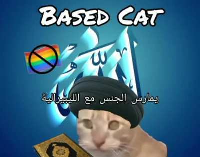 Least based cat in the middle east