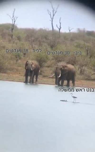 6 מנדטים_במ