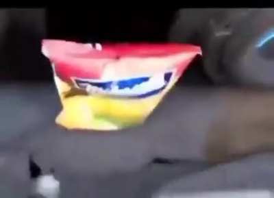 Chip
