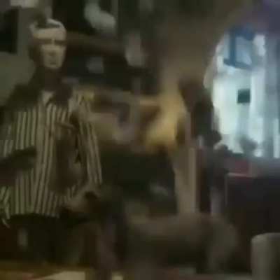 Cursed_Family
