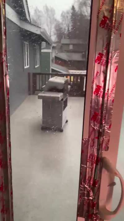 Bye bye grill