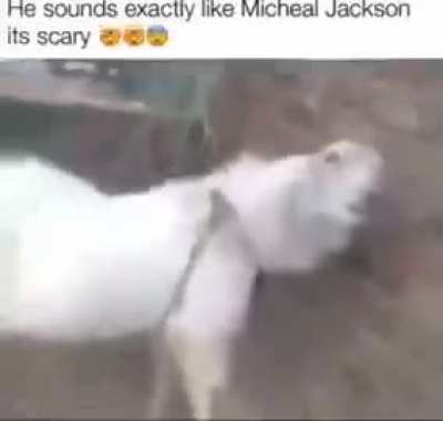 YOo 😮🤯