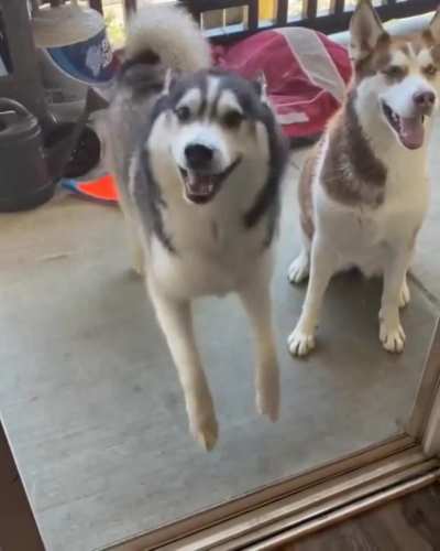 What a dance!