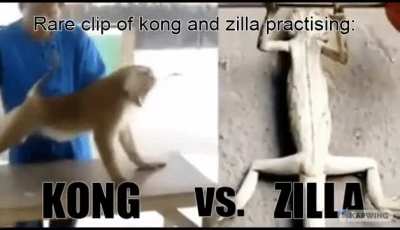 Rare clip of kong and zilla practising