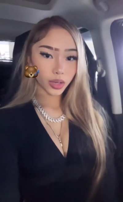 Dodo_udi23