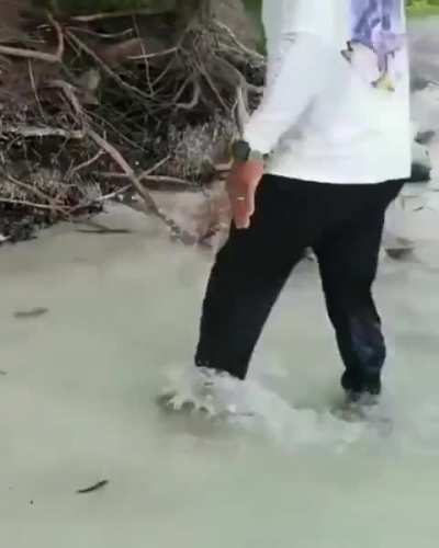 A helping hand