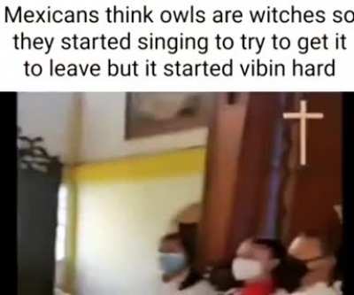 Majico