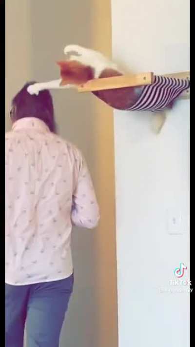 Hat remover